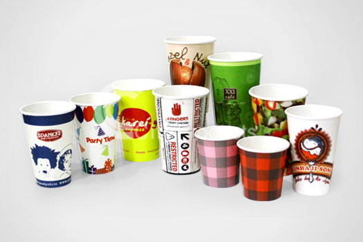 Paper Bag & Shopping Bag